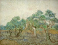 image of The Olive Orchard