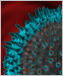 Computer rendering of a flu virus.