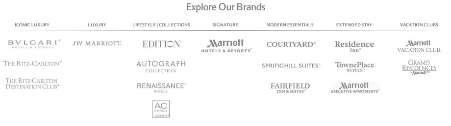 Explore our Brands