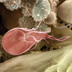 microscopic image of Giardia lamblia