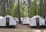 A view of the locked tents in the Curry Village section of Yosemite National Park in California September 8, 2012. California researchers and public health officials have launched what they describe as a groundbreaking series of studies of a rare mouse-borne virus that has infected at least nine Yosemite National Park visitors, killing three of them, since June. All but one of the Yosemite visitors who contracted the disease over the summer are believed to have been exposed in Yosemite's Curry Village area while staying in double-walled tent cabins later found to have been infested by deer mice. Picture taken September 8. REUTERS/Gordon Bussard