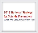 National Strategy for Suicide Prevention