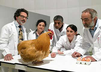 Agricultural and food scientists