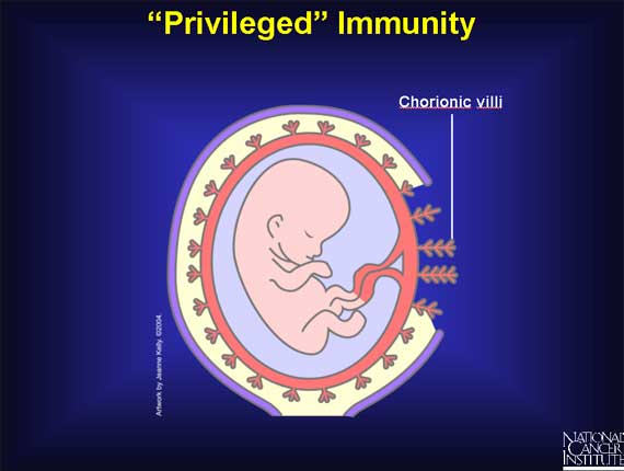 Privileged Immunity