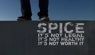 Spice Logo