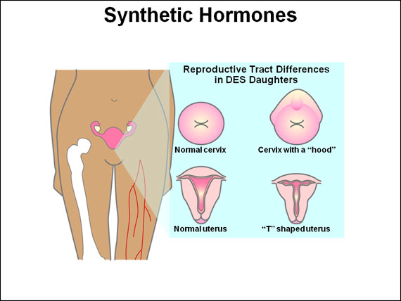 Synthetic Hormones