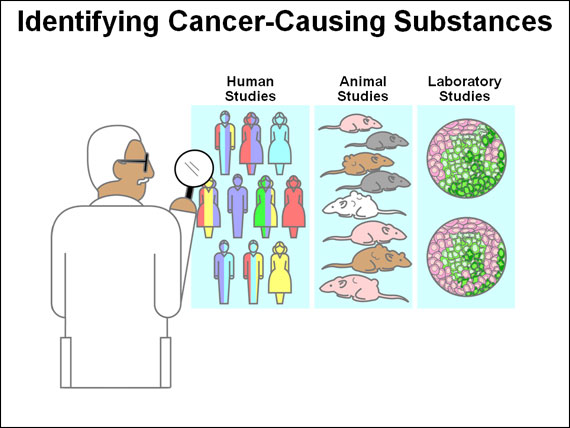 Identifying Cancer-Causing Substances