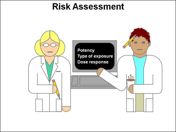 Risk Assessment