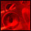 Photo: Red blood cells