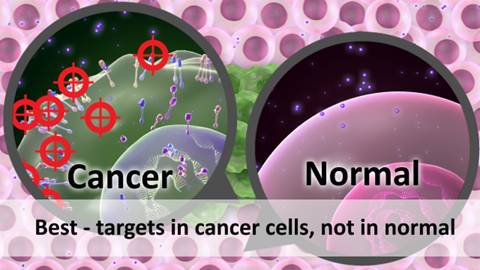 This image shows a layer of pink normal cells and a mass of green cancer cells. On the left, there is a close-up view of a cancer cell with six red circles representing targets. On the right, there is a close-up view of a normal cell with no red circles indicating no targets. The caption reads 'Best--targets in cancer cells, not in normal'.