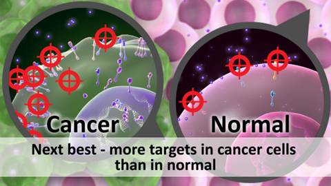 This image shows a layer of normal cells (pink) and a cluster of cancer cells (green). There is a close-up view of the cancer cell on the left with six red circles representing targets. There is a close-up view of a normal cell on the right with three red circles indicating a smaller number of targets in the normal cell. The title reads 'Next best - more targets in cancer cells than in normal'.