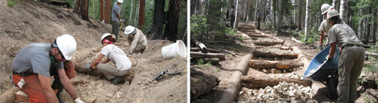 Two photos of workers rehabilitating North Rim Forest Trails in the Grand Canyon National Park.