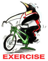 Exercise icon: Penguin on a stationary exercise bicycle.