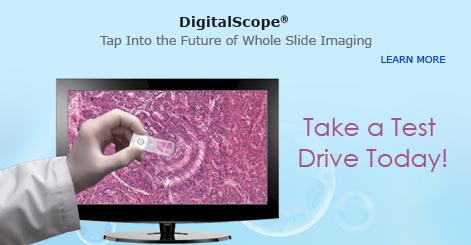 Tap Into the Future of Whole Slide Imaging