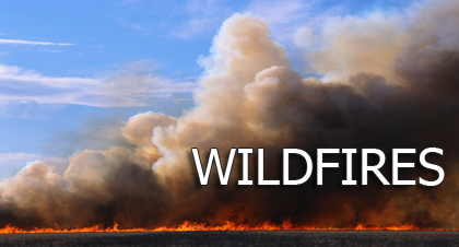 Preparedness and response when a wildfire occurs