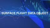 Surface Flight Data Object