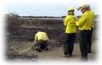 Wildland Fire Origin and Cause Determination (WFOCD/FI-210)