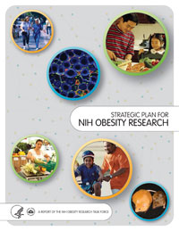 Cover of NIH Obesity Research Strategic Plan