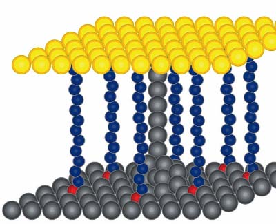 Silver nanoswitch: when the voltage between a gold conductor (top) and silver conductor (bottom) exceeds a critical point, silver ions rapidly assemble like a lightning strike to bridge the gap through a organic molecule monolayer.