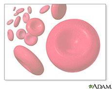 Ilustración de glóbulos rojos