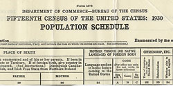 1930 census form section