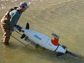 image of  the submarine robot Fetch