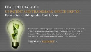 Patent Grant Bibliographic Data