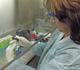 Julie Reinsch, laboratory technician aide, U.S. Department of Agriculture, Animal and Plant Health Inspection Service (APHIS), Diagnostic Virology Laboratory in Ames, Iowa.