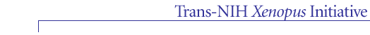 Trans-NIH Xenopus Initiative