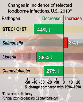 Chart: Percent changes in incidence of selected foodborne infections, U.S., 2010* (compared with 1996-1998). Data are preliminary. STEC (Shiga toxin-producing Escherichia coli) O157: 44% decrease; Salmonella: 3% increase; Listeria: 38% decrease; Campylobacter: 27% decrease.