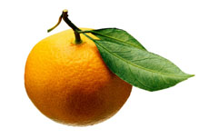 Una fotografía de una naranja