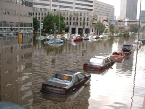 Photograph of cars parked on street with standing floodwaters at or above the window level.