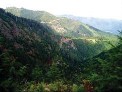 Photograph of forested mountains.