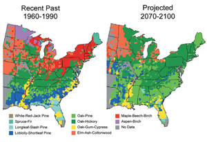 Two maps of the eastern United States that show the current (as of 1960 to 1990) and projected (2070 to 2100) forest types. Text below the maps state that: Major changes are projected for many regions. For example, in the Northeast, under a mid-range warming scenario, the currenlty dominatn maple-beech-birch forest type is projected to be completely displaced by other forest types in a warmer future. Overall there is a shift of species with more diversity in the current map and less diversity of forest types in the future.