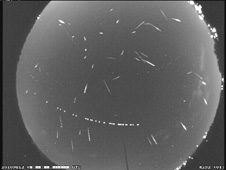 Perseids News Icon