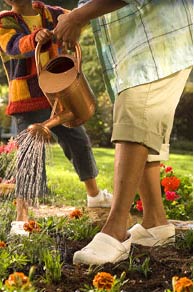 Photo: [Watering the garden]