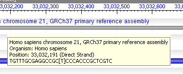 Graphical View Tool Tip2