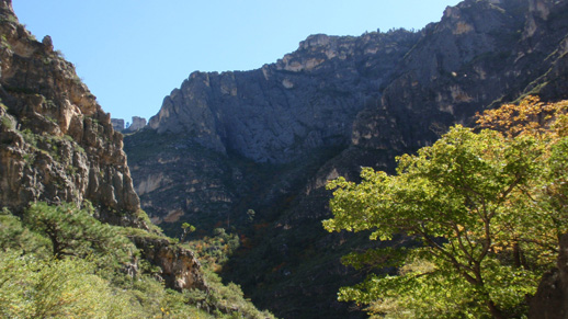 Big Canyon from the bottom, Guadalupe Ranger District