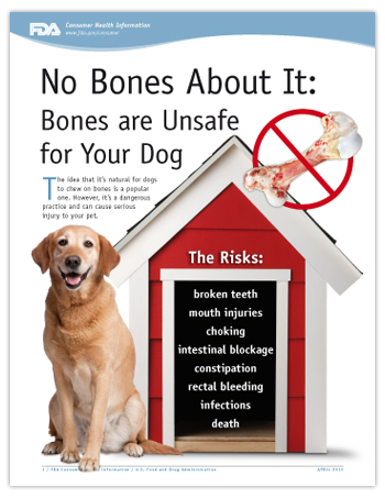 graphic of PDF version of this article, including photo of dog, doghouse, and a big juicy bone with a red line through it