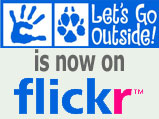 Let's Go Outside Flickr Group