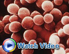 MRSA Awareness Video