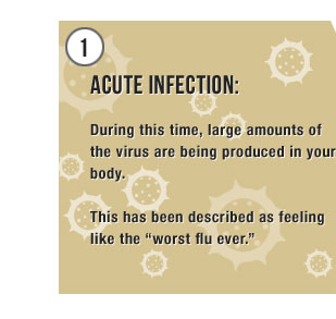 1) Acute Infection: During this time, large amounts of the virus are being produced in your body. This has been described as feeling like the 'worst flu ever'.
