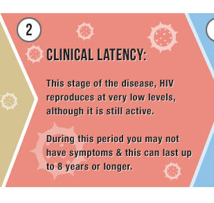 2) Clinical Latency: This stage of the disease, HIV reproduces at very low levels, although it is still active. During this period you may not have symptoms and this can last up to 8 years or longer.