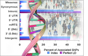 A sample graph, people and a DNA-helix