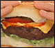 hamburger on a bun