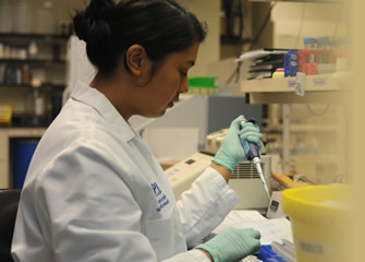 A young researcher working at the lab