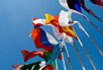 image of flying flags
