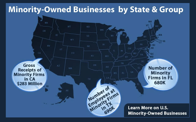 Minority Owned Businesses by State and Group