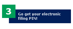 3: Go get your electronic filing PIN!