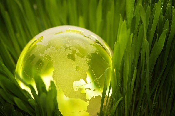 Image of glowing globe in grass to showcase DOT's sustainability efforts.